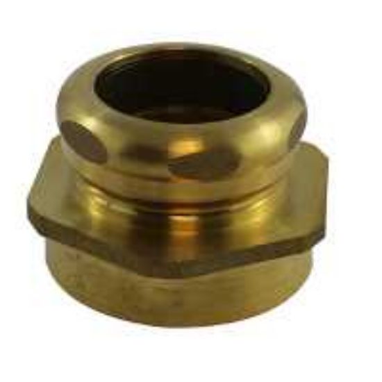 Picture of C++ 333994 1-1/4X11/2 FIP BRASS TRAP ADA