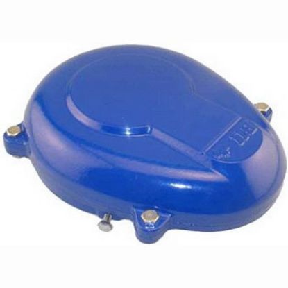 Picture of C++ WTC-A06-BLUE 6" BLUE WELL CAP