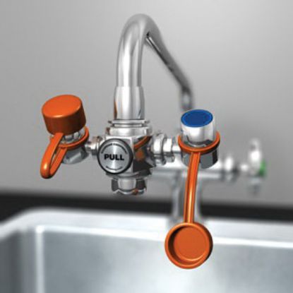 Picture of G1100 EYE WASH UNIT