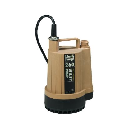 Picture of C++ 260 LIB 1/6HP 1.25DIS UTILITY PUMP 1