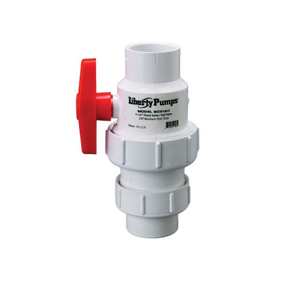 Picture of N++ BCV-200 2" BALL / CHECK VALVE COMBO