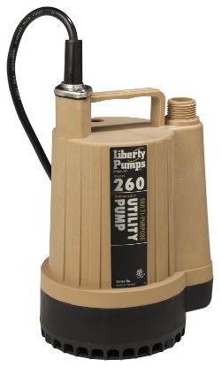 Picture of 2602 1/6 HP UTILITY PUMP MANUAL 25' CORD