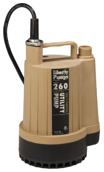 Picture of 2602 1/6 HP UTILITY PUMP MANUAL 25' CORD