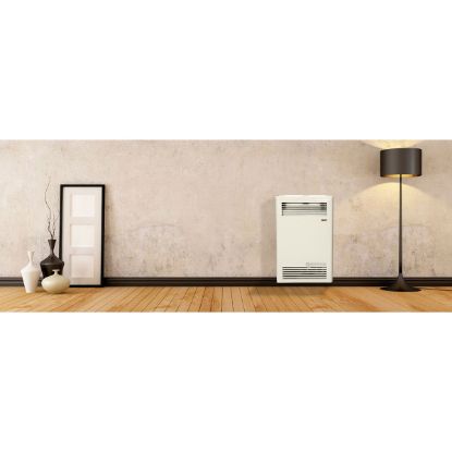 Picture of ITEM NAME