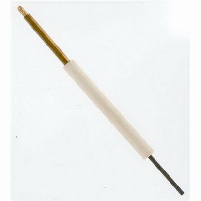 Picture of 3006707 RIELLO IONIZATION ASSY