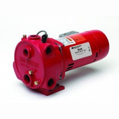 Picture of C++ 100RJAS RJ CONV.JET PUMP 1 HP 115/23