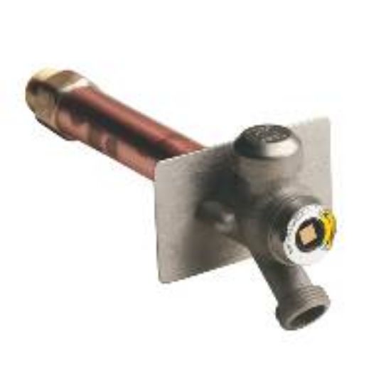 Picture of 5609QT-12 12" BN PLATED 1/4 WALL HYDRANT