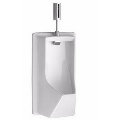 Picture of C++ UE93001 LLOYD URINAL W/ELECTRONIC FL