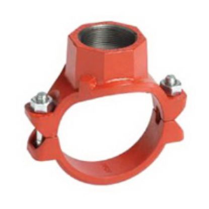 Picture of 920 8X2 FNPT MEC-T OLET E GASK PNT