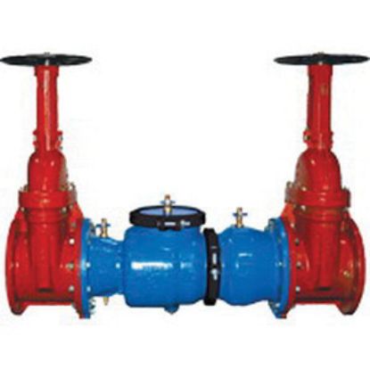 Picture of 350-212-NRS LLC 2-1/2" DBL CHECK VAL