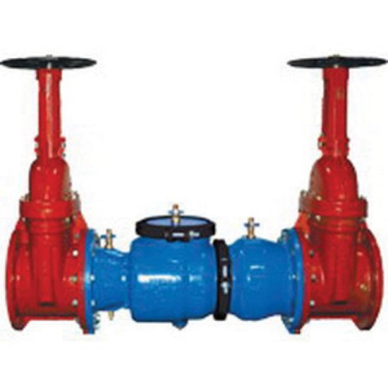 Picture of 350-212-NRS LLC 2-1/2" DBL CHECK VAL