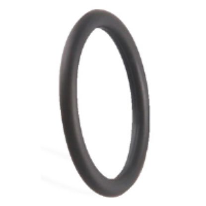 Picture of C++ A2620009 O-RING F/TF TEMP METER