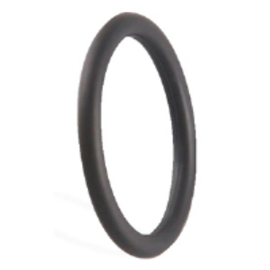 Picture of C++ A2620009 O-RING F/TF TEMP METER