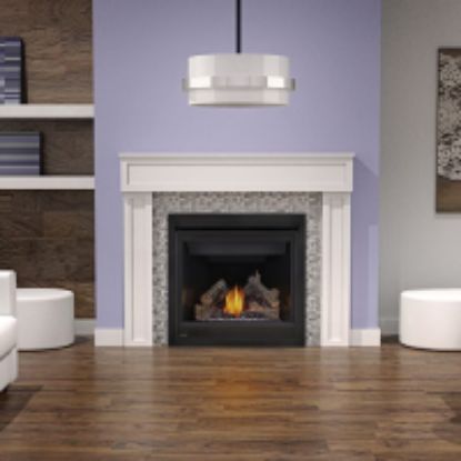 Picture of C++ CB36NTR GAS FIREPLACE D/V