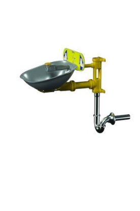 Picture of C++ S19-224BPT BARRIER FREE EYEWASH