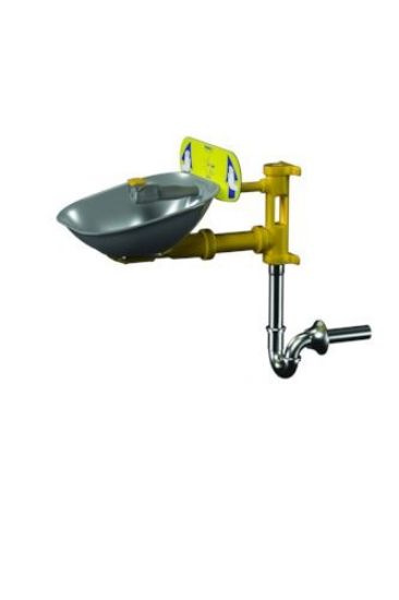 Picture of C++ S19-224BPT BARRIER FREE EYEWASH