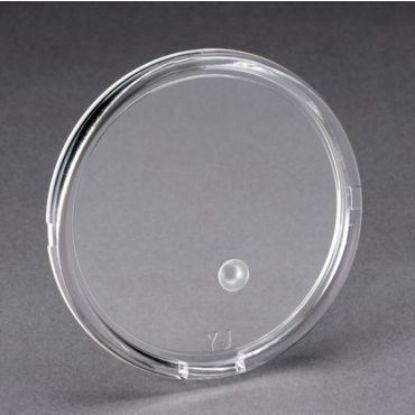 Picture of 49100 80MM REPLACEMENT CRYSTAL
