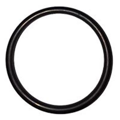 Picture of 2-1 (2000001615) O-RING (2 REQUIRED)