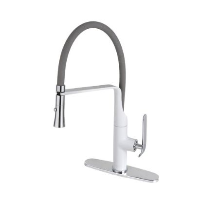 Picture of C++ 1HDL SALISH PD FCT CP/GRY