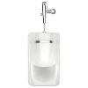 Picture of C++ 6516001EC.020 GREENBROOK URINAL TS