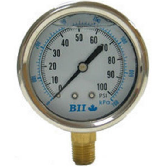 Picture of 2-PG25-300-G 0-300 PSI GLYCERIN 2-1/2"