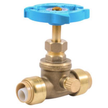 Picture of RS+24634LF 1/2" X 1/2" GATE VLV W/DRAIN