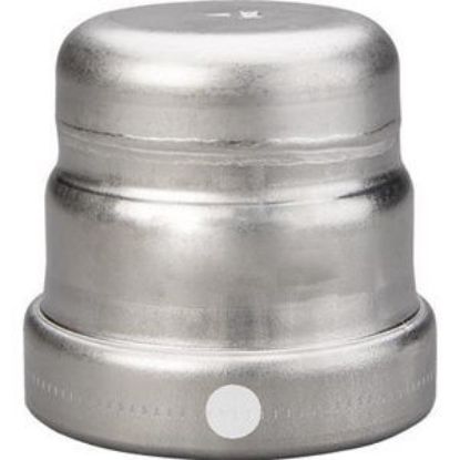 Picture of C++ 85387 2-1/2" P 304SS CAP