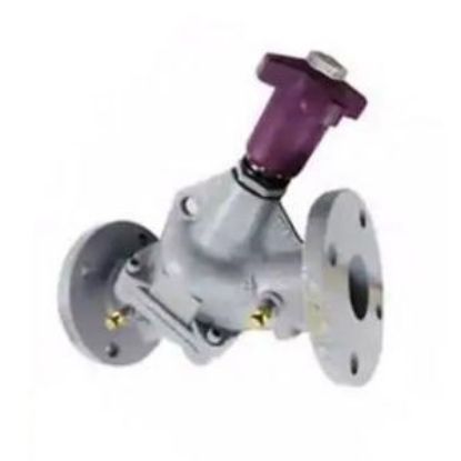 Picture of 570109376 CBV-21/2FS-125#FLG CIRC BALL V