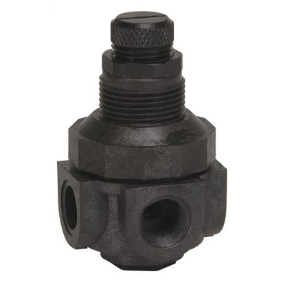 Picture of P60M1-1/4" 0-125 PLAST WTR PRES REGUL