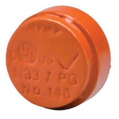 Picture of 146 1 IGS CAP PNT