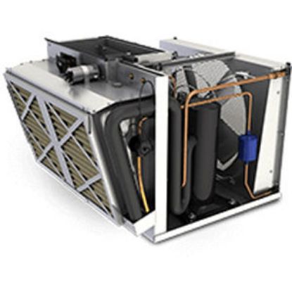 Picture of ITEM_NAME