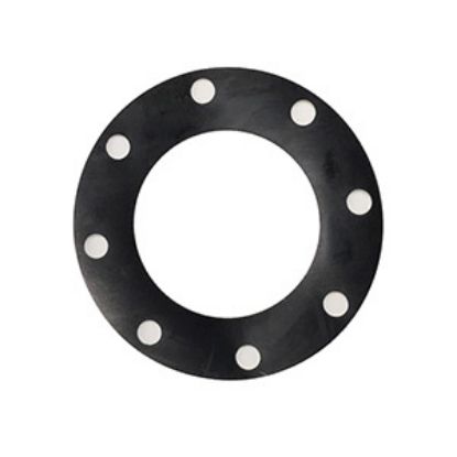 Picture of 10 VITON 1/8 150 FF GASKET