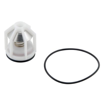 Picture of RKSS009-CK1 1" 1ST CHK REP KIT