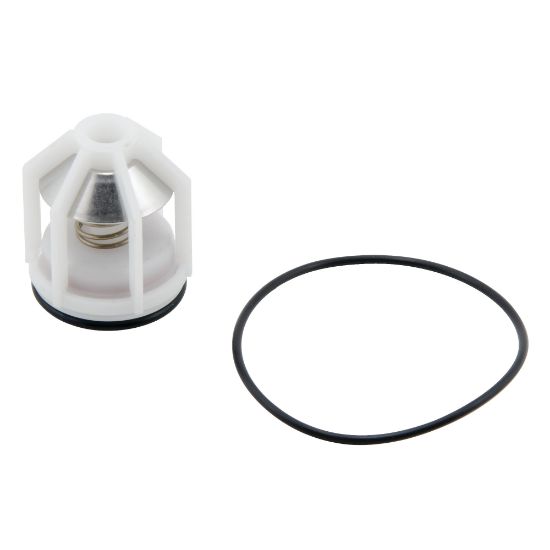 Picture of RKSS009-CK1 1" 1ST CHK REP KIT