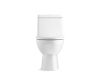 Picture of 3983-S-0 REACH SKIRTED D.F. 1-PC TOILET