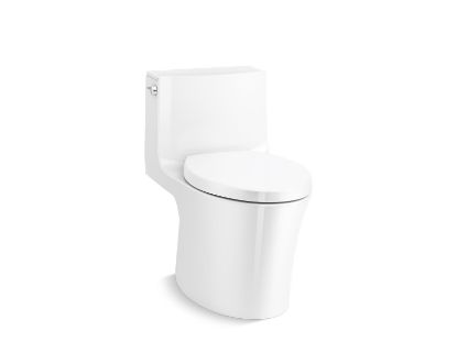 Picture of 1381-0 VEIL 1-PC DUAL-FLUSH TOILET