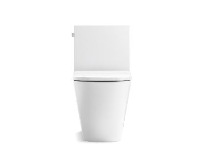 Picture of 22378-0 BRAZN 1PC TOILET 305MM W/ SEAT