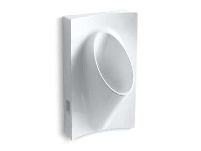 Picture of 4919-0 STEWARD L WATERLESS URINAL