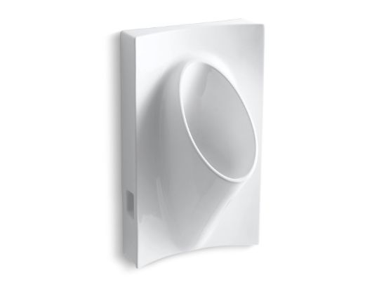 Picture of 4919-0 STEWARD L WATERLESS URINAL