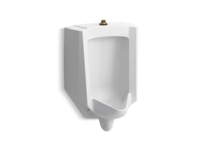 Picture of 4991ET0 BARDON A/F 1/8 GPF URINAL TOP