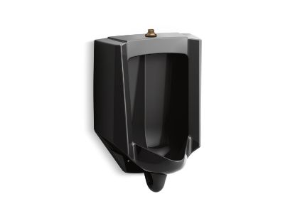 Picture of 4991ET7 BARDON A/F 1/8 GPF URINAL TOP