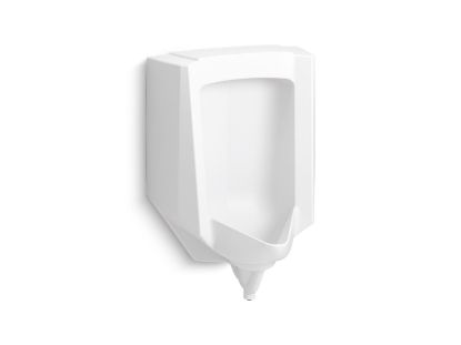 Picture of 25048ER0 STANWELL REAR SPUD URINAL