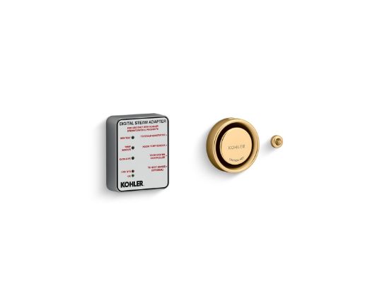 Picture of 5548K12MB DTV+ STEAM ADAPTER KIT SINGLE