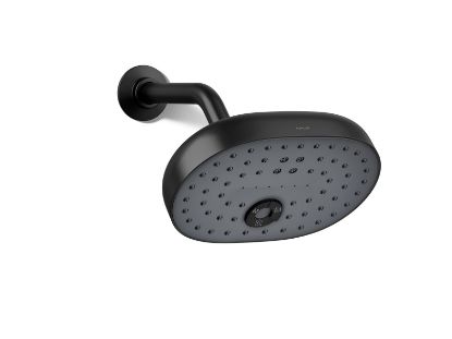 Picture of 26290-G-BL STATEMENT MF SHOWERHEAD G