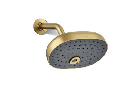 Picture of 26290-G-2MB STATEMENT MF SHOWERHEAD G