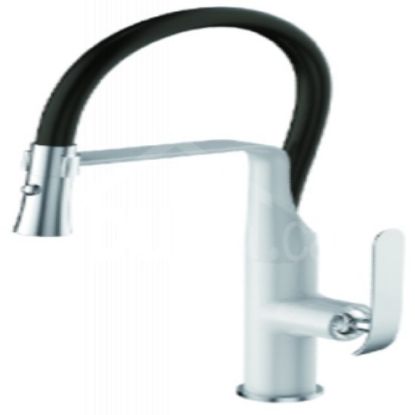 Picture of C++ 1HDL SALISH PD FCT CP/BLK