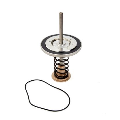 Picture of LFRK909-CK2 LLC 10" 2ND CHK REP KIT