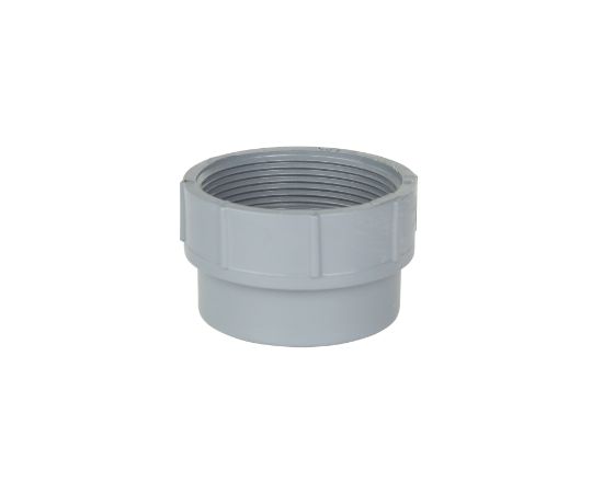 Picture of 2" PVC XFR SP X FPT FTG C/O L/PLUG
