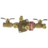 Picture of 009QTFS 1/2" RP ZONE BF PRV W/FS