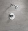Picture of T14259-PP SHOWER ONLY TRIM